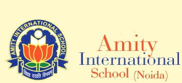 amity international school